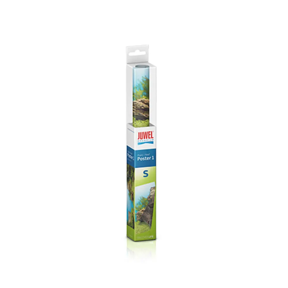 Juwel Plantes Et Décoration | - Poster S : 60 x 30 cm