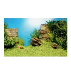 Juwel Plantes Et Décoration | - Poster S : 60 x 30 cm
