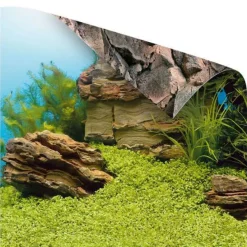 Juwel Plantes Et Décoration | - Poster S : 60 x 30 cm