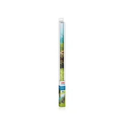 Juwel Plantes Et Décoration | - Poster XL : 150 x 60 cm