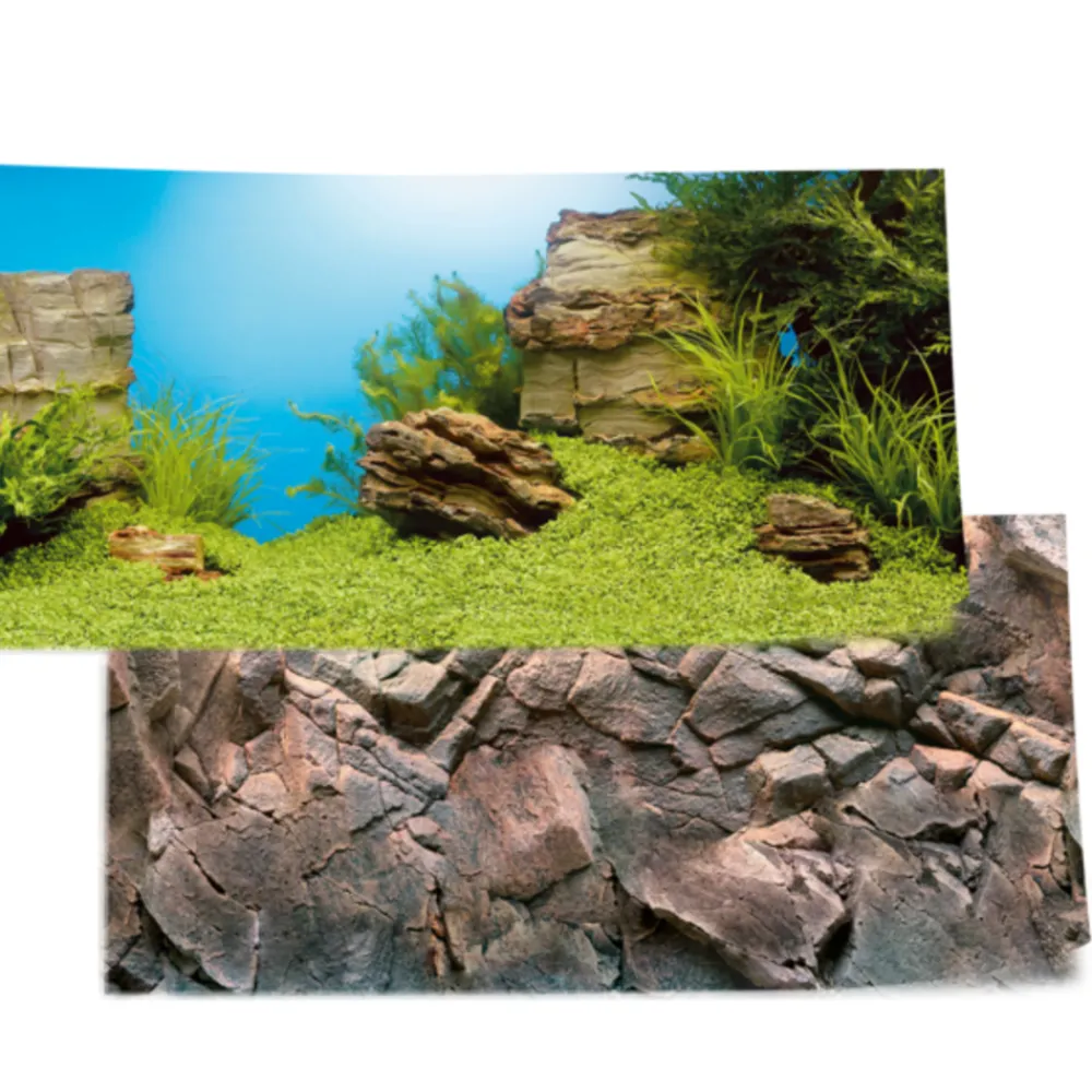 Juwel Plantes Et Décoration | - Poster XL : 150 x 60 cm