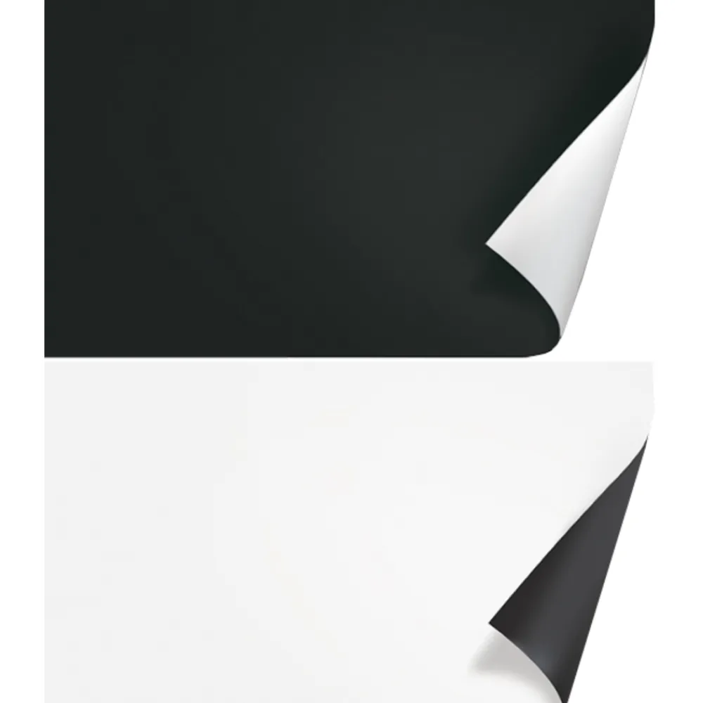 Juwel Plantes Et Décoration | - Poster aquarium noir/blanc T.3 XL