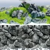 Juwel Plantes Et Décoration | - Poster aquarium rochers/aquascape Poster T.4 XL