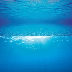Juwel Plantes Et Décoration | - Poster de fond d'aquarium 2 xl : 150 x 60cm