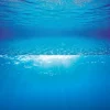 Juwel Plantes Et Décoration | - Poster de fond d'aquarium 2 s : 60x30 cm