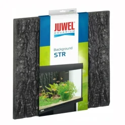 Juwel Plantes Et Décoration | - Str : paroi arrière en 3d