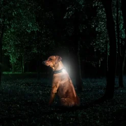 Kippy - GPS et moniteur d'activité Evo Brown Wood pour chien & chat