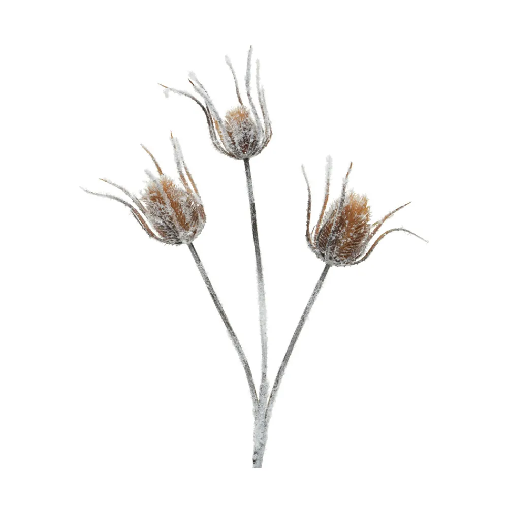 ksd déco KSD DÉCO - Fleur artificielle : Tige branche chardon avec neige - H.88cm Clearance