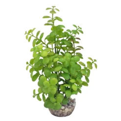 Labeo - Plante artificielle pour aquarium, arbre lentille - H.22cm Discount
