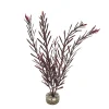 Labeo Plantes Et Décoration | - Plante artificielle pour aquarium, algue haute - H.32cm