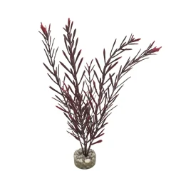 Labeo Plantes Et Décoration | - Plante artificielle pour aquarium, algue haute - H.32cm