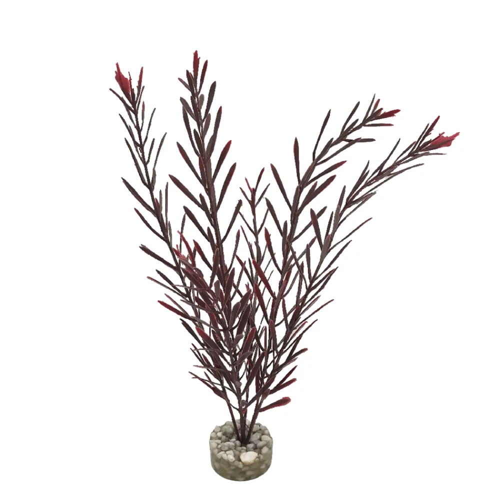 Labeo Plantes Et Décoration | - Plante artificielle pour aquarium, algue haute - H.32cm