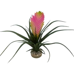 Labeo - Plante artificielle pour terrarium H21cm Discount