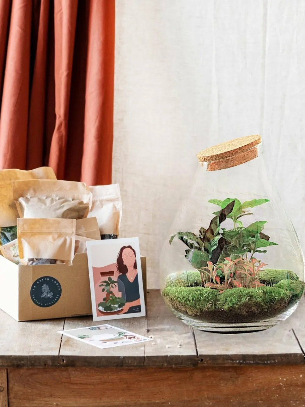 La Green Touch Terrariums Et Compositions | - Kit terrarium diy - doorn calathéa + caféier + fittonia - sans outil