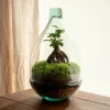 La Green Touch - Terrarium - cayenne Outlet
