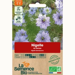 Lasemencebio - Nigelle de damas - graines bio Online