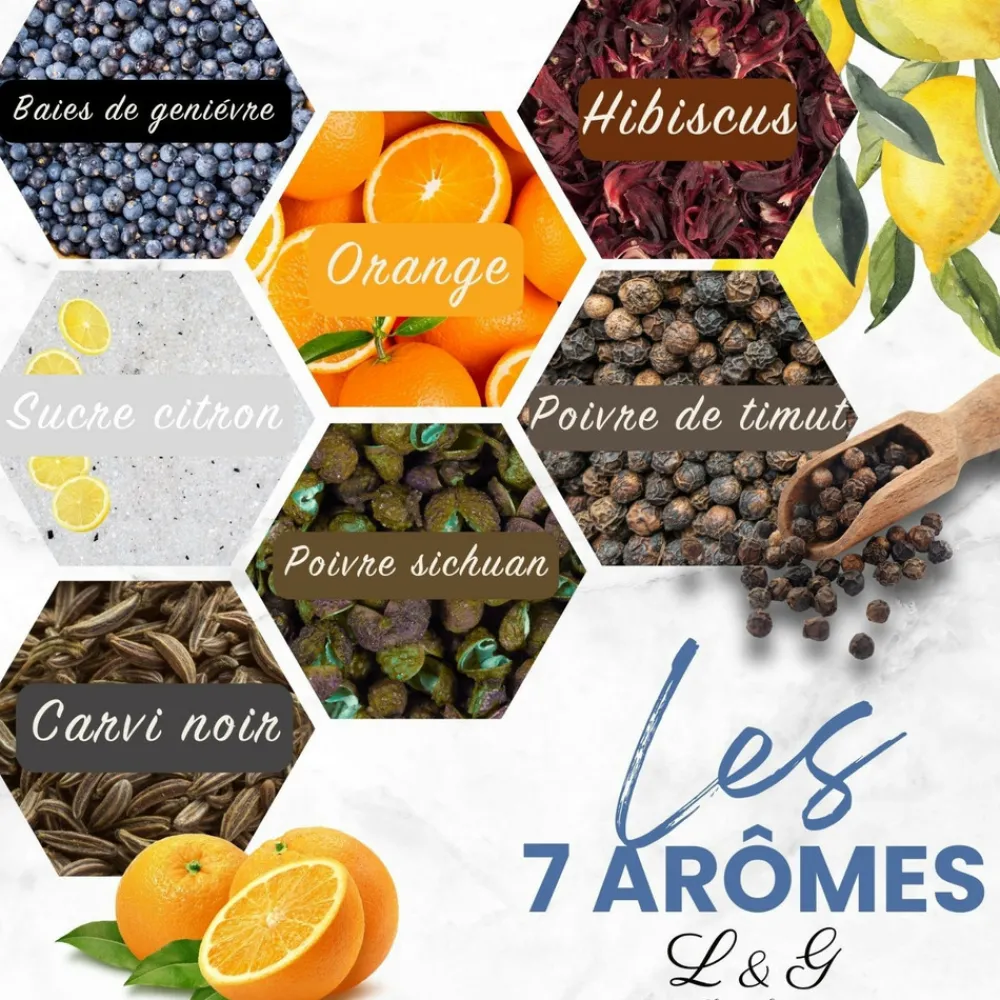 Louise & Gaston - Kit découverte aromatisation Gin Outlet