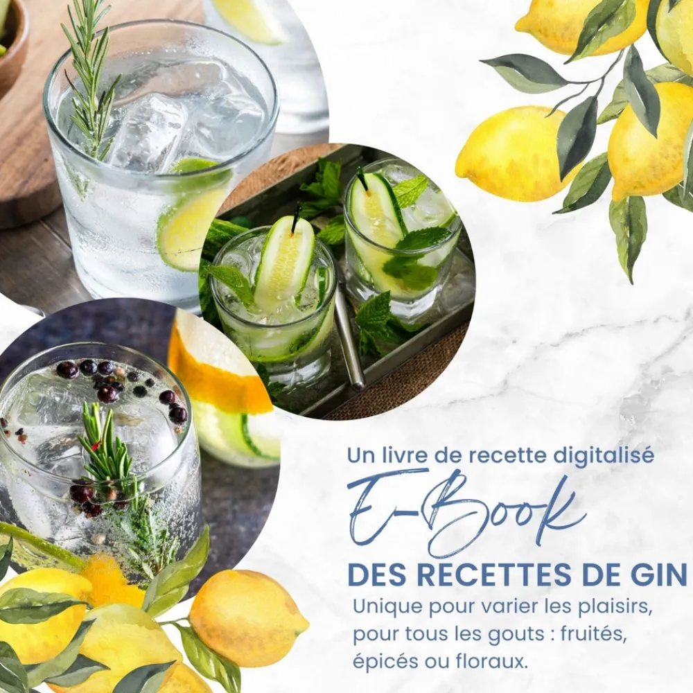Louise & Gaston - Kit découverte aromatisation Gin Outlet