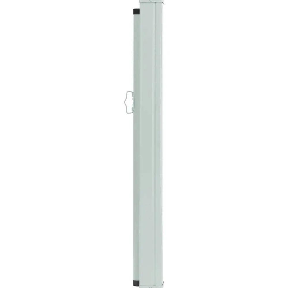 Maison Exclusive - Auvent latéral rétractable de patio 100x300 cm noir Clearance