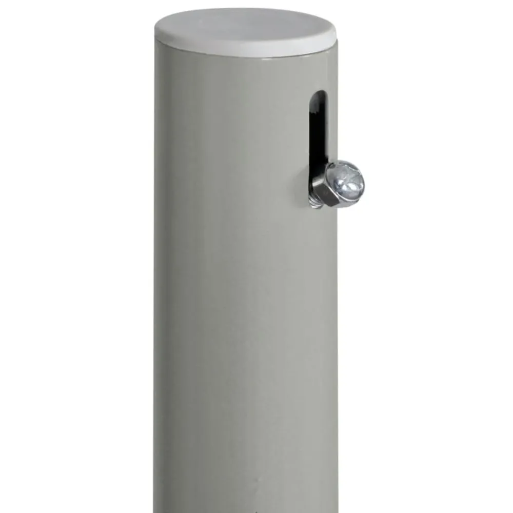 Maison Exclusive - Auvent latéral rétractable de patio 160 x 300 cm gris Online