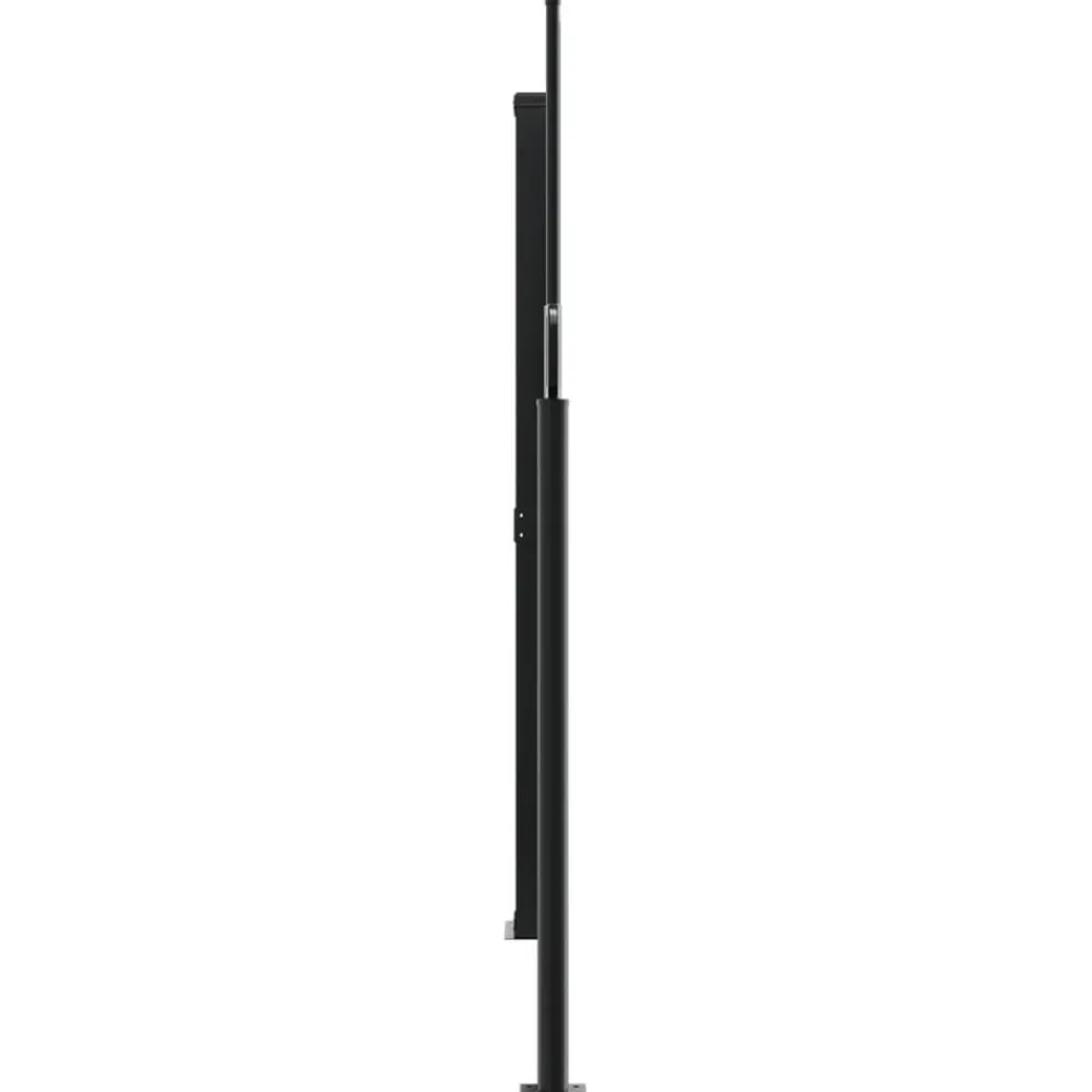 Maison Exclusive - Auvent latéral rétractable anthracite 180x1200 cm New