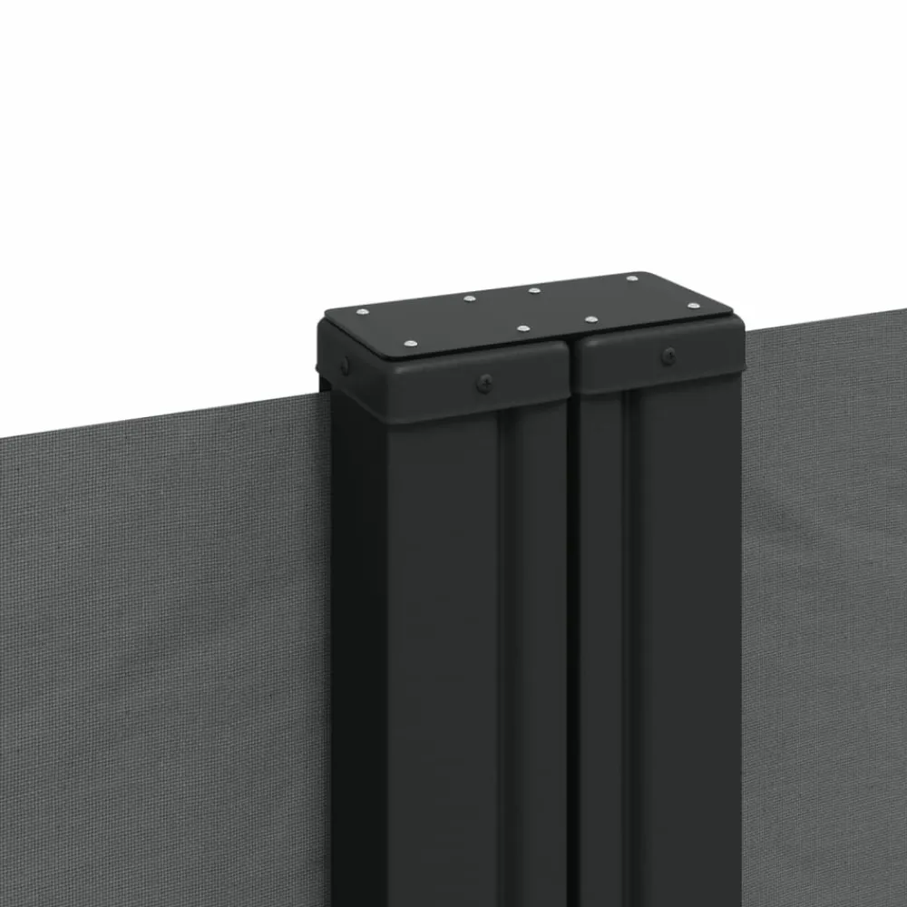 Maison Exclusive - Auvent latéral rétractable anthracite 180x1200 cm New