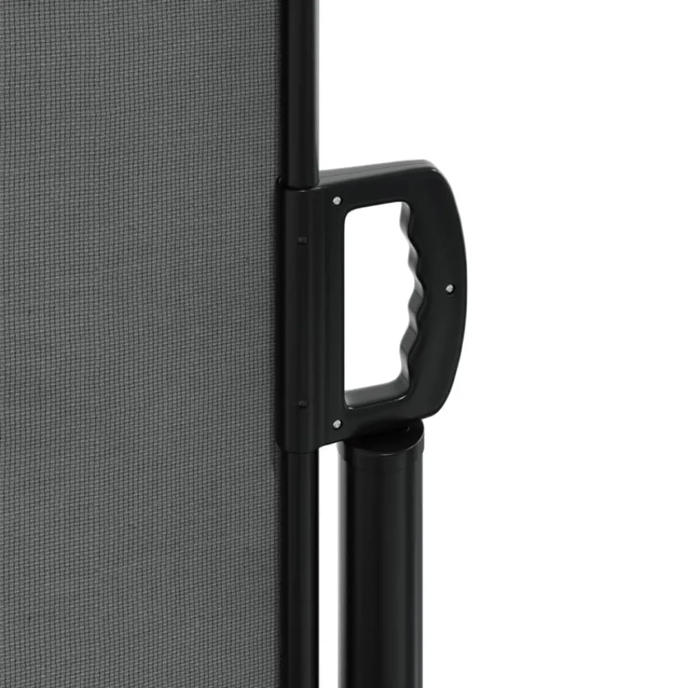 Maison Exclusive - Auvent latéral rétractable anthracite 180x1200 cm New