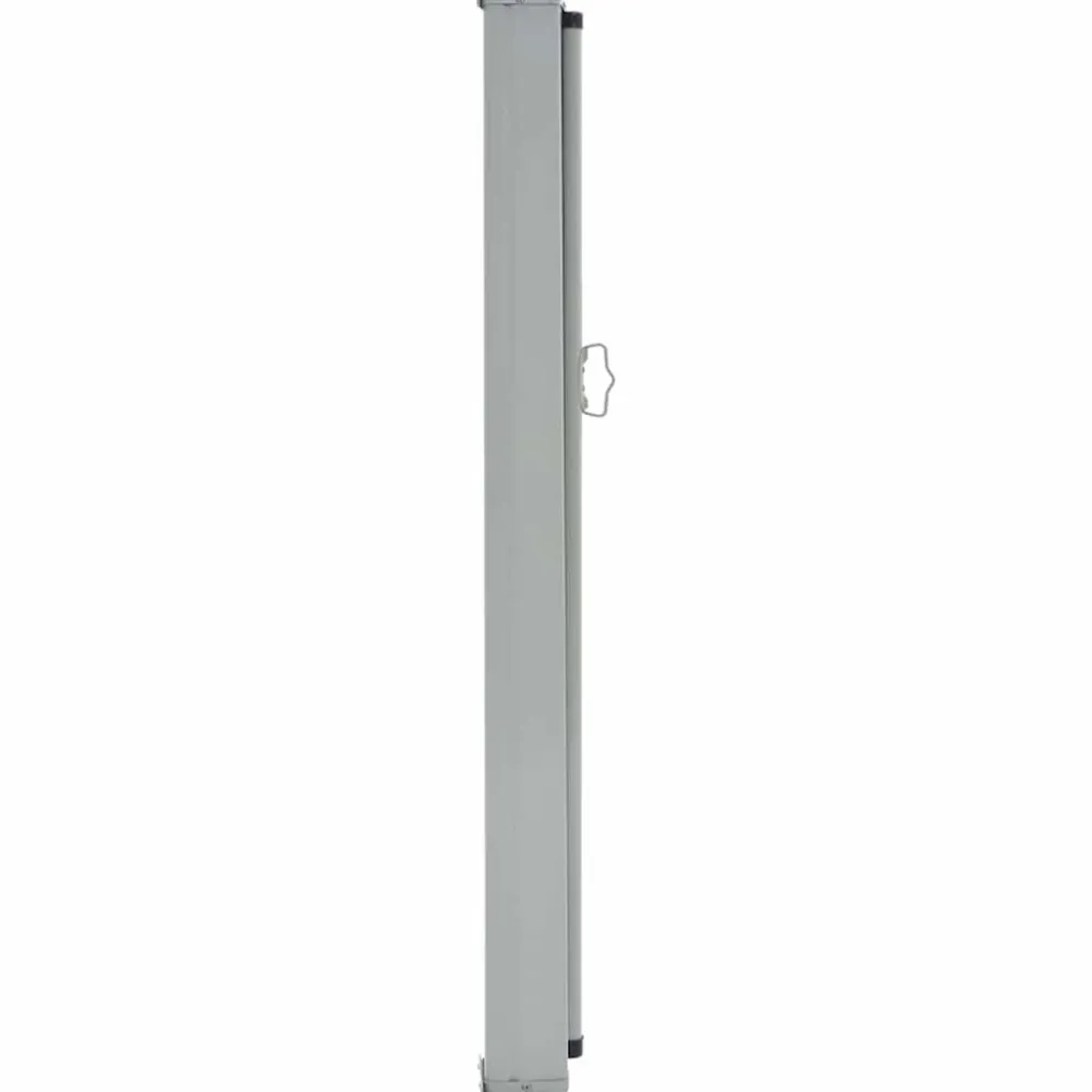 Maison Exclusive - Auvent latéral rétractable de patio 100x300 cm rouge Best