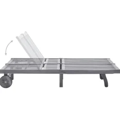 Maison Exclusive - Chaise longue de jardin 2 places avec coussin gris acacia Best