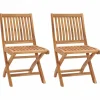 Maison Exclusive - Chaises de jardin pliables lot de 2 bois de teck massif