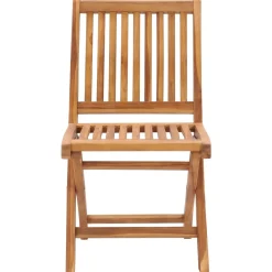 Maison Exclusive - Chaises de jardin pliables lot de 2 bois de teck massif