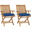 Maison Exclusive - Chaises de jardin lot de 2 et coussins bleu bois de teck massif Best