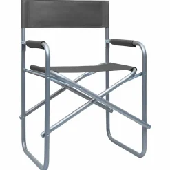 Maison Exclusive Tables Et Chaises De Jardin | - Chaises de metteur en scène lot de 2 acier gris