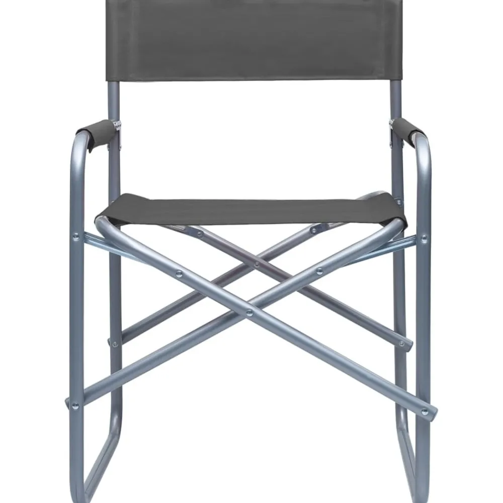 Maison Exclusive Tables Et Chaises De Jardin | - Chaises de metteur en scène lot de 2 acier gris
