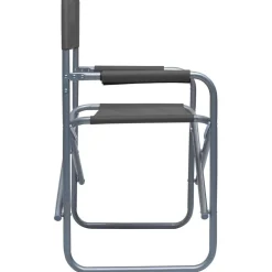 Maison Exclusive Tables Et Chaises De Jardin | - Chaises de metteur en scène lot de 2 acier gris
