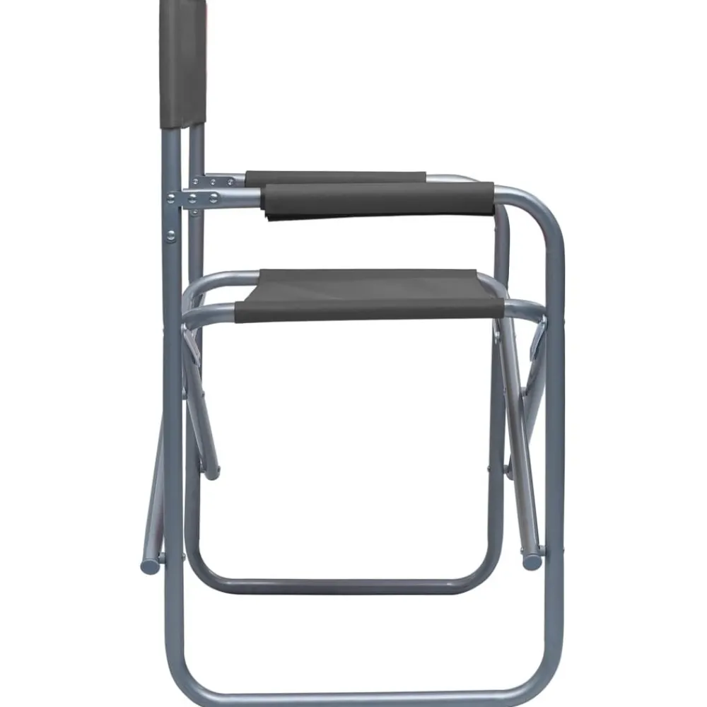 Maison Exclusive Tables Et Chaises De Jardin | - Chaises de metteur en scène lot de 2 acier gris