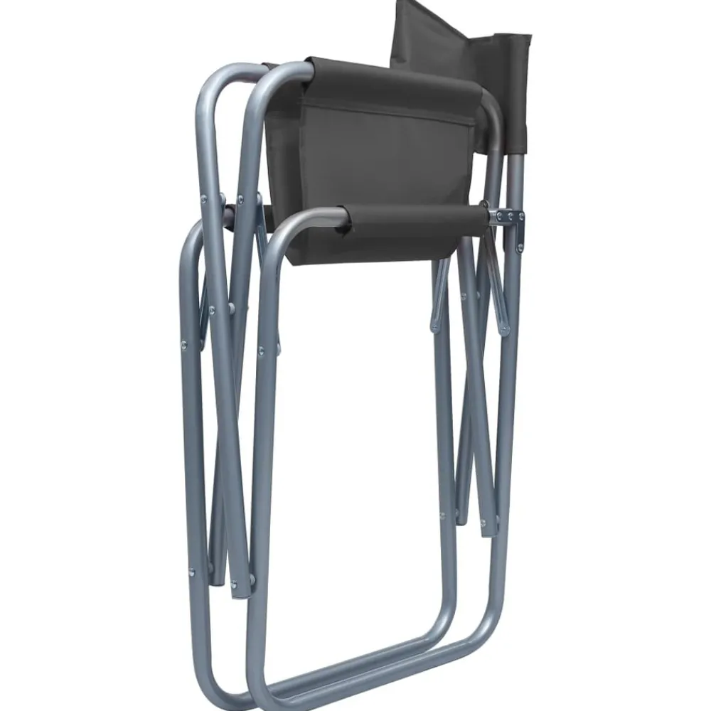 Maison Exclusive Tables Et Chaises De Jardin | - Chaises de metteur en scène lot de 2 acier gris