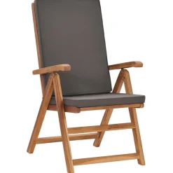 Maison Exclusive Tables Et Chaises De Jardin | - Chaises inclinables lot de 2 avec coussins teck solide gris