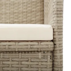 Maison Exclusive - Chaises inclinables lot de 2 et coussins résine tressée beige Online