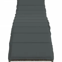 Maison Exclusive Bains De Soleil, Transats Et Hamacs | - Chaises longues lot de 2 avec coussins gris résine tressée