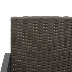 Maison Exclusive - Chaises à manger de jardin lot de 2 noir rotin pp Best