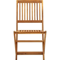 Maison Exclusive - Chaises pliables d'extérieur lot de 2 bois d'acacia solide New