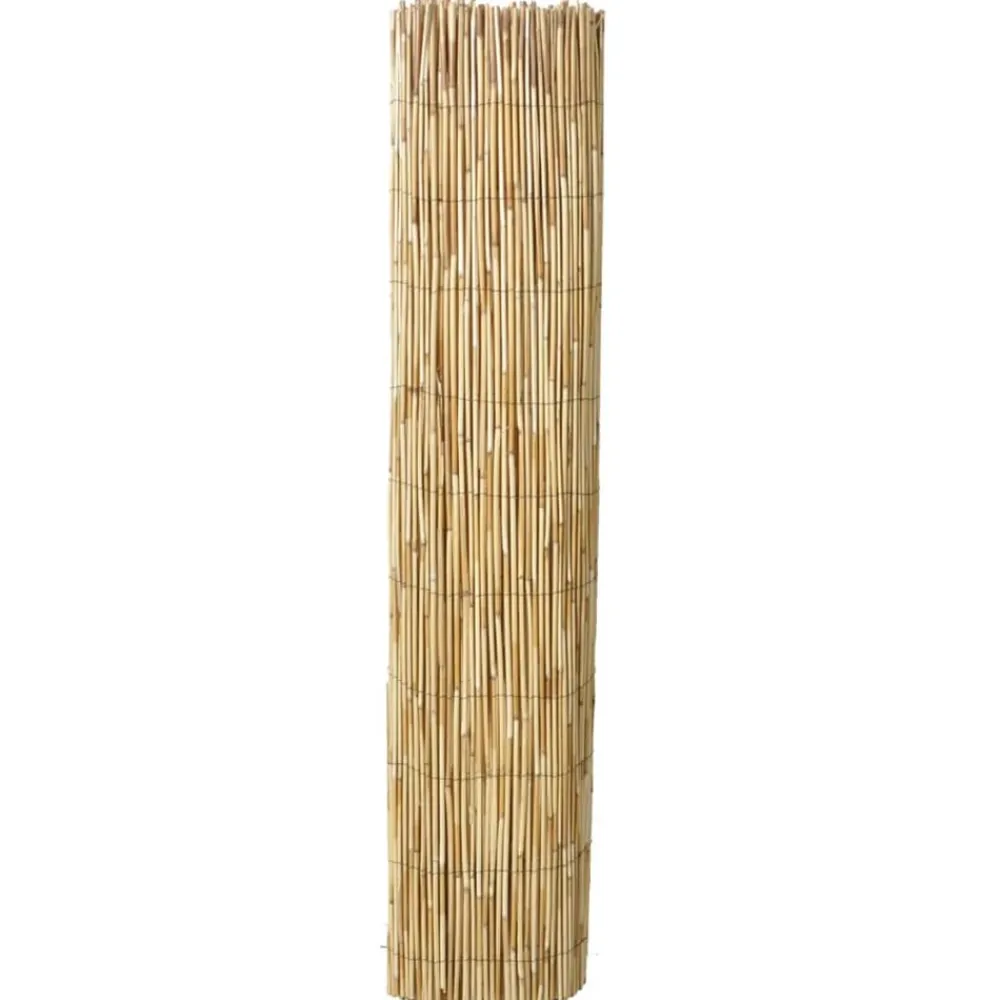 Maison Exclusive Brise-Vues, Bordures Et Dallages | - Clôture de jardin en roseau 500x100 cm