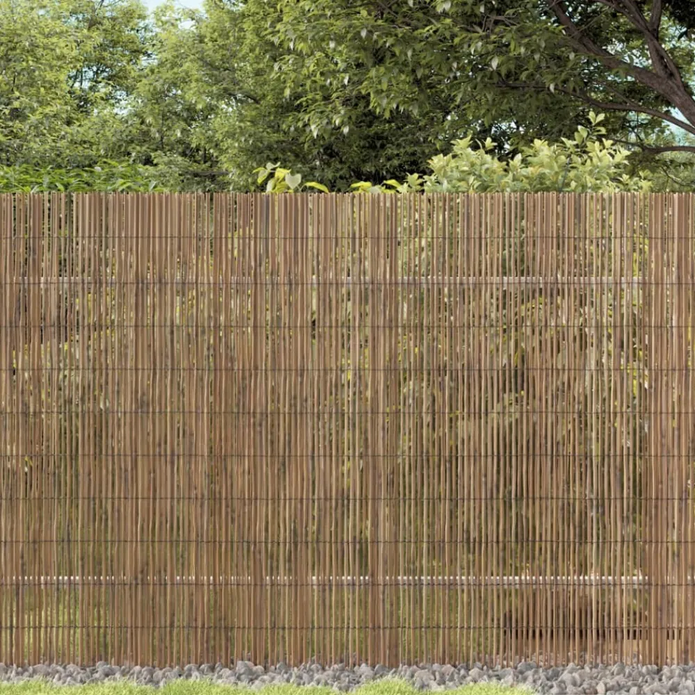 Maison Exclusive - Clôture de jardin 600x100 cm roseau Online