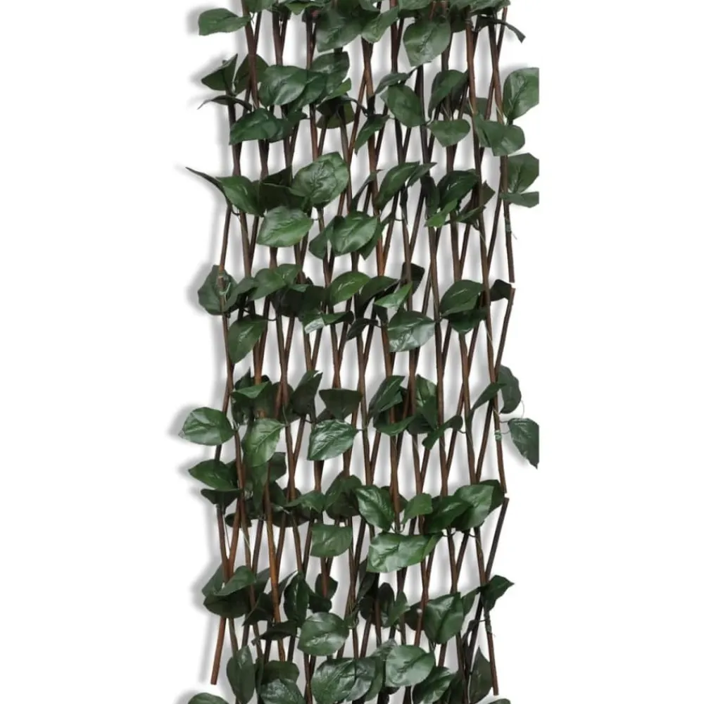 Maison Exclusive - Clôture en treillis de saule 5 pcs 180x90 cm Outlet