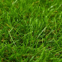 Maison Exclusive Gazons | - Gazon artificiel 1x5 m/30 mm vert