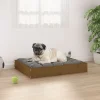Maison Exclusive - Lit pour chien marron miel 61,5x49x9 cm bois de pin solide Clearance