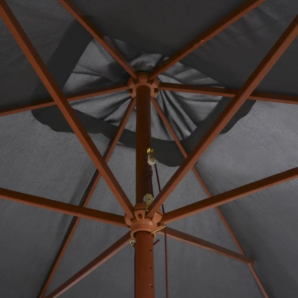 Maison Exclusive Parasols, Voiles D’Ombrage | - Parasol d'extérieur avec mât en bois 200x300 cm anthracite