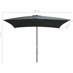 Maison Exclusive Parasols, Voiles D’Ombrage | - Parasol d'extérieur avec mât en bois 200x300 cm anthracite