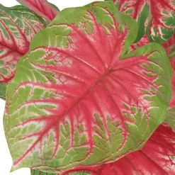 Maison Exclusive - Plante artificielle avec pot caladium 85 cm vert et rouge Discount